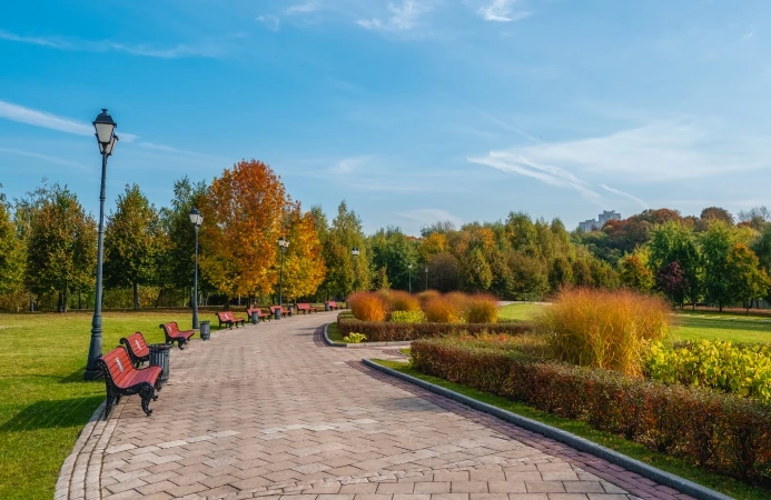 Jogging Track